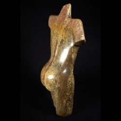 Mannen Torso