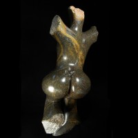 De veelzijdige Shona stam beheerst ook de kunst van het weergeven van mannelijke en vrouwelijke torso's via hun beeldhouwkunst. 